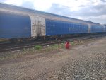 CPS FLT-302348-6